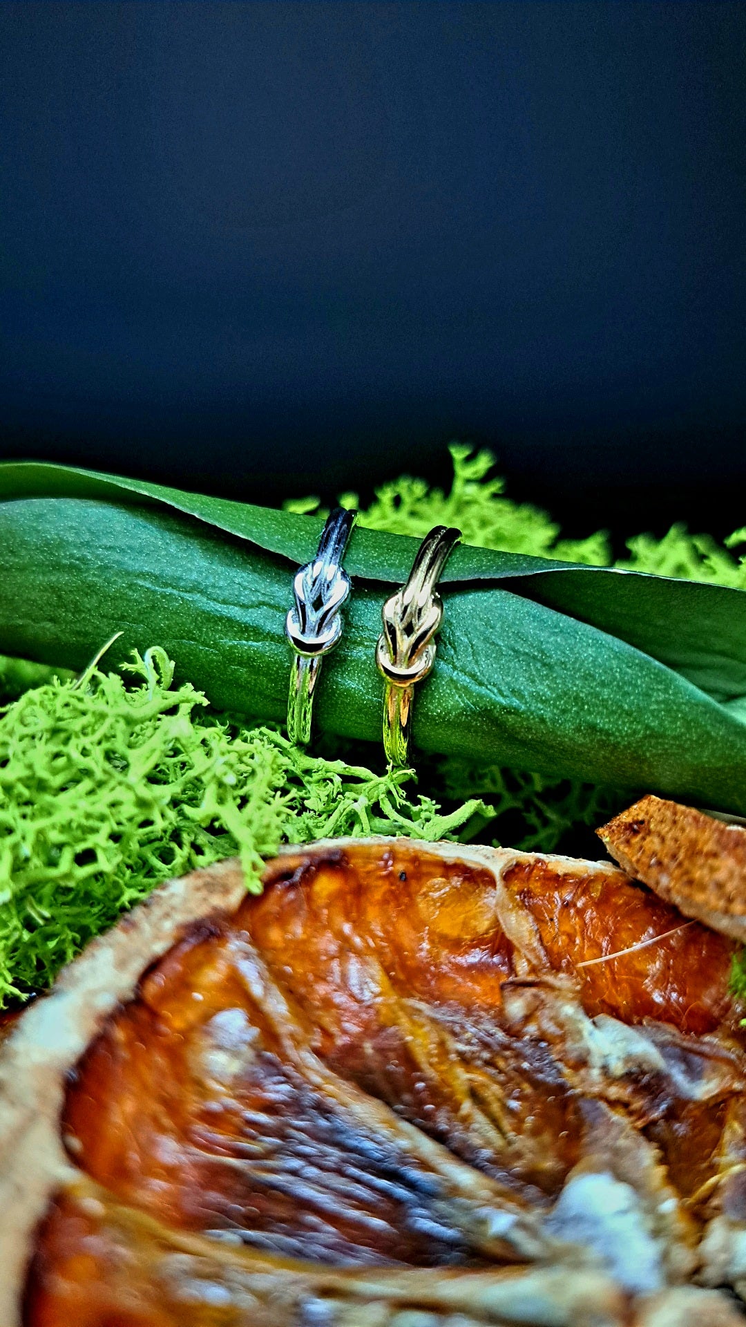 Bague Disporum argenté