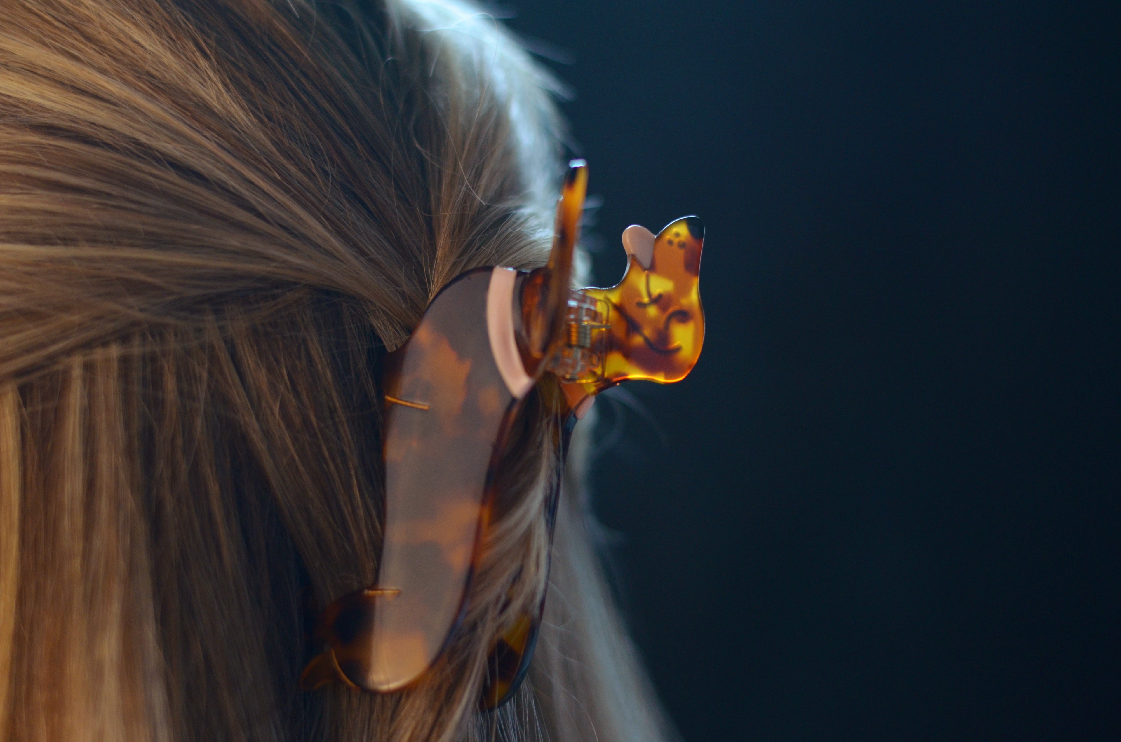 Pince à cheveux Teckel