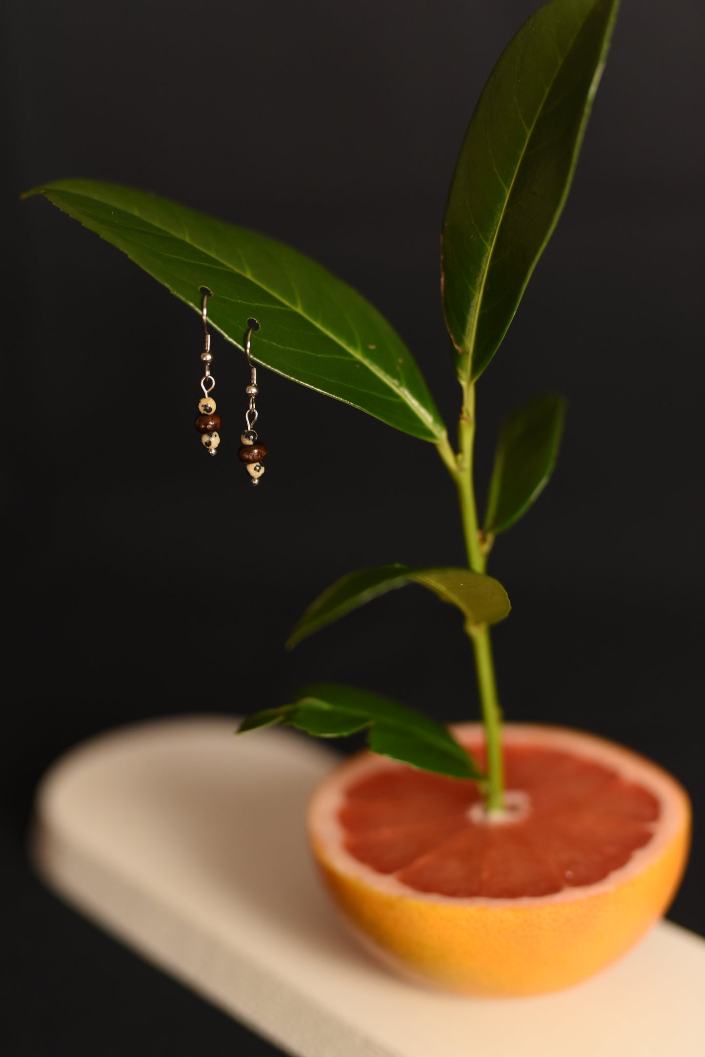 Boucles d'oreilles Pieris argenté