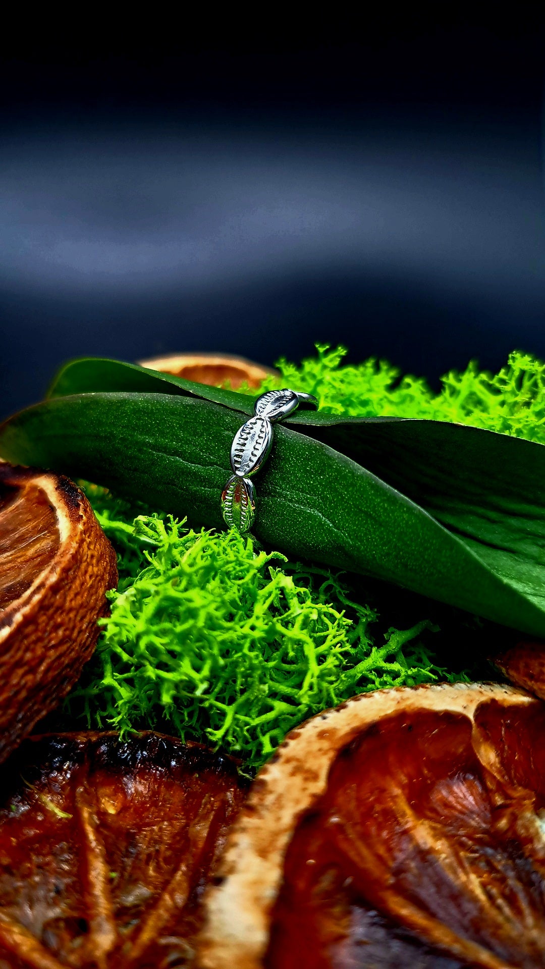 Bague Conchylium argenté