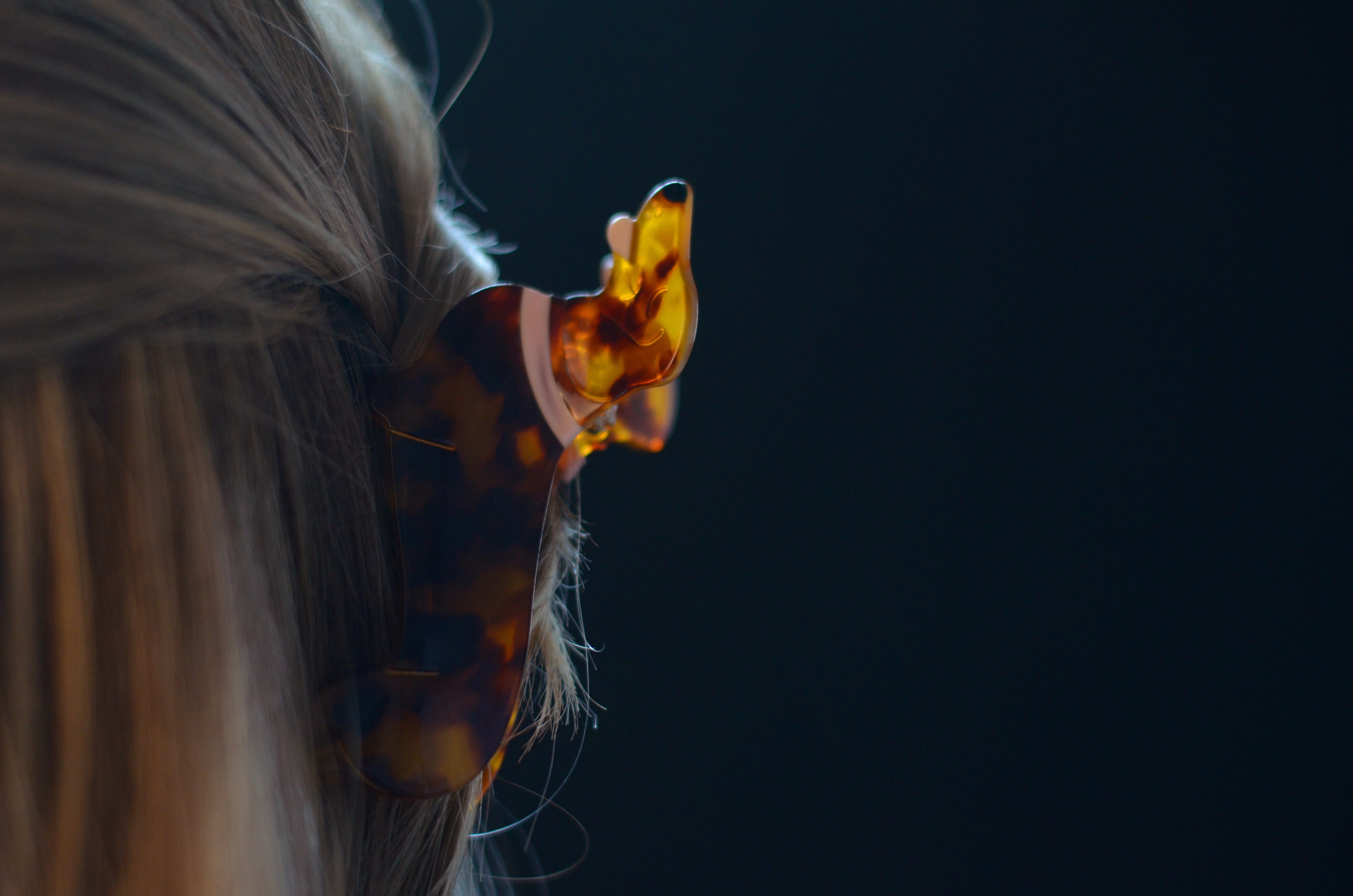 Pince à cheveux Teckel