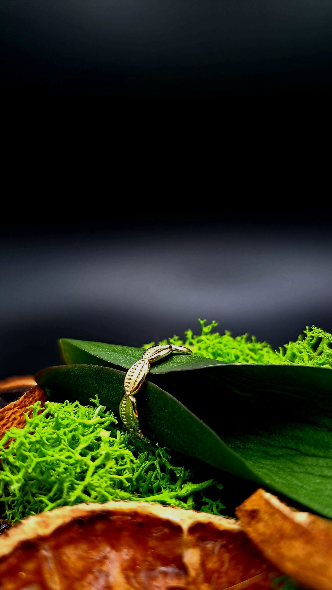 Bague Conchylium doré