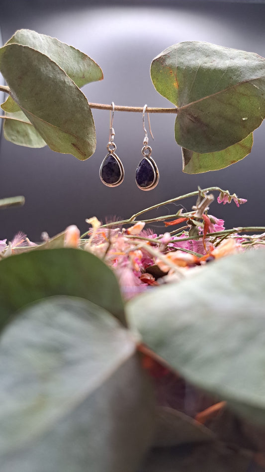 Boucles d'oreilles Aptenia